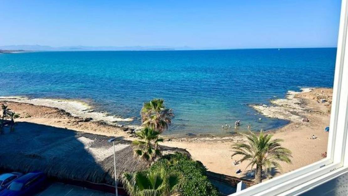 Alquiler corta estancia - Apartment - Torrevieja - Cabo cervera