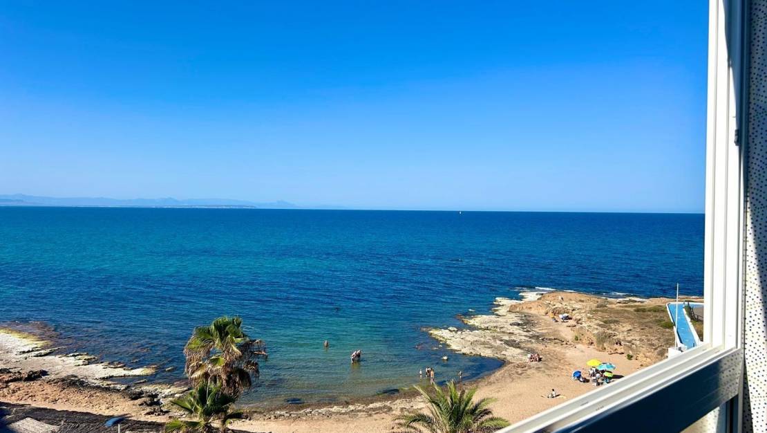 Alquiler corta estancia - Apartment - Torrevieja - Cabo cervera