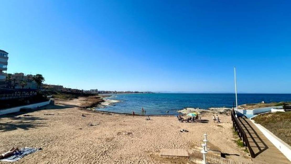 Alquiler corta estancia - Apartment - Torrevieja - Cabo cervera