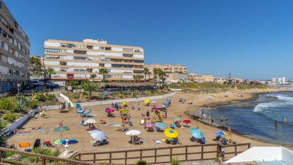 Alquiler corta estancia - Apartment - Torrevieja - Cabo cervera
