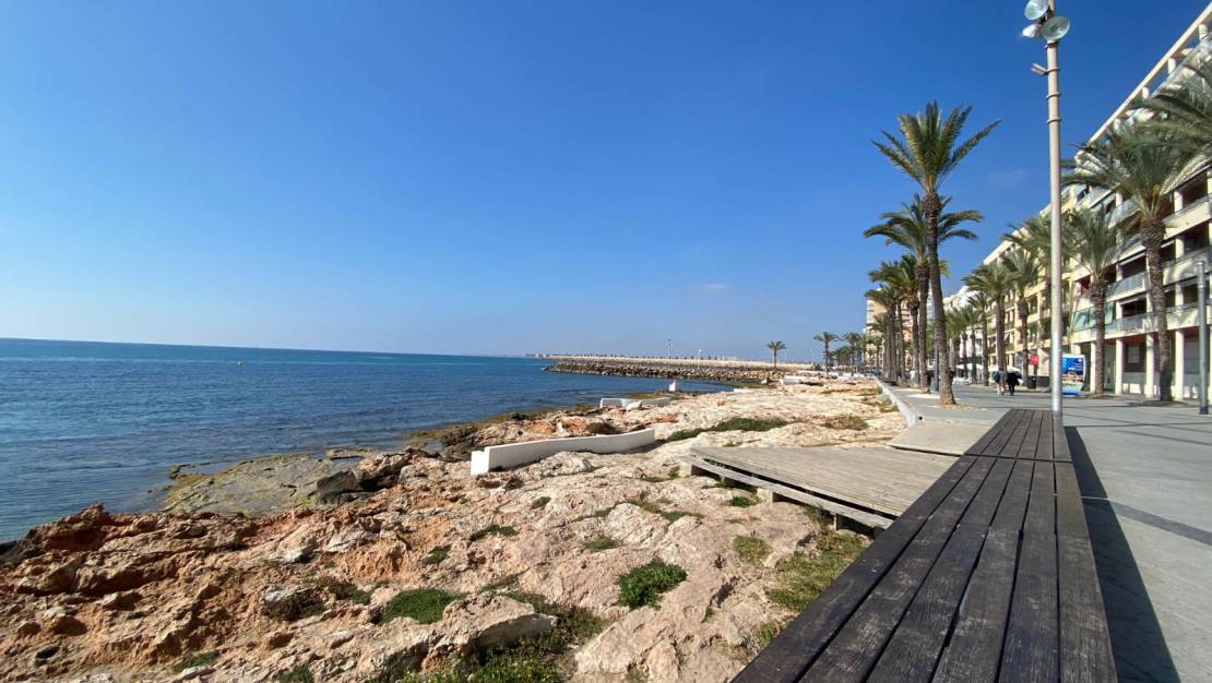 Alquiler larga estancia - Apartamento/Piso - Torrevieja