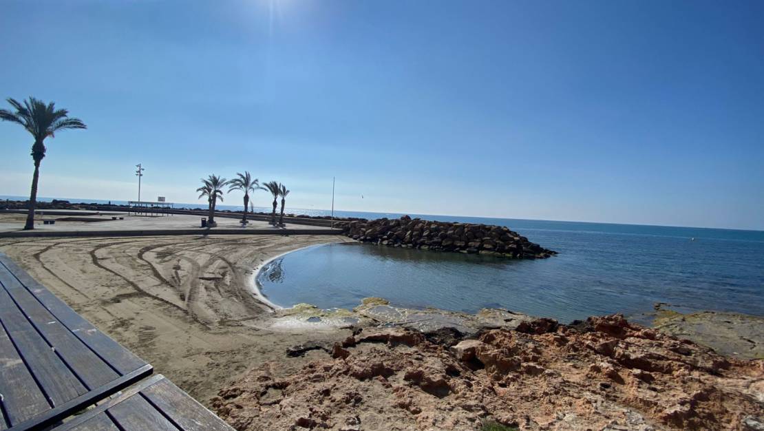 Alquiler larga estancia - Apartamento/Piso - Torrevieja