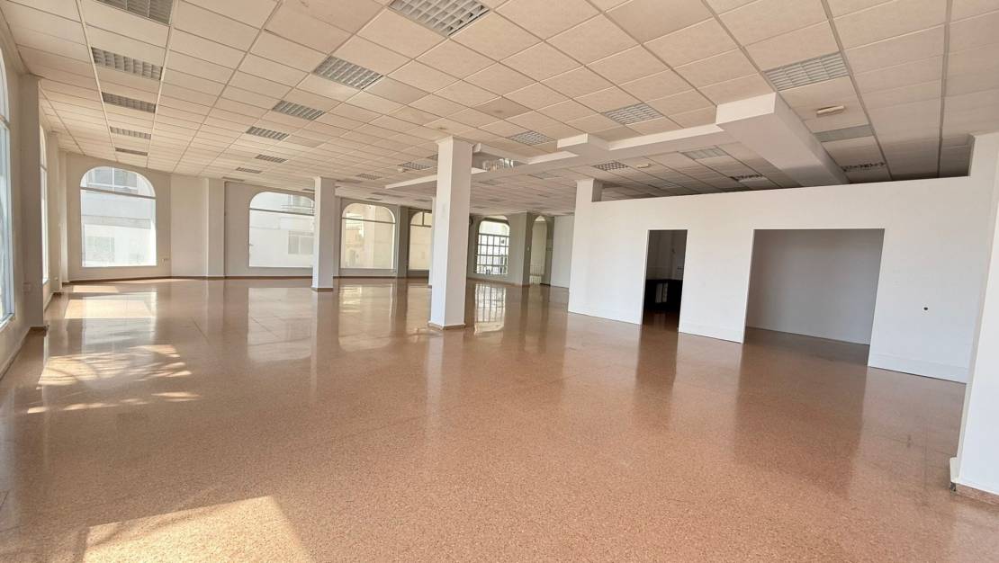 Alquiler larga estancia - Comercial - San Miguel de Salinas