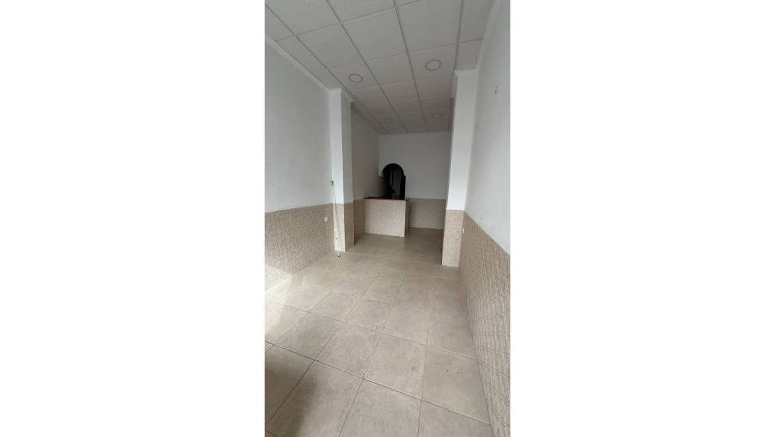 Alquiler larga estancia - Commercial property - San Miguel de Salinas