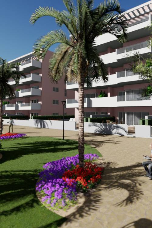 Apartamento - Nueva construcción  - Guardamar del Segura - EL RASO