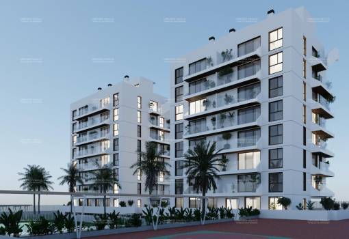 Apartment - New Build - Guardamar del Segura - RO-75439