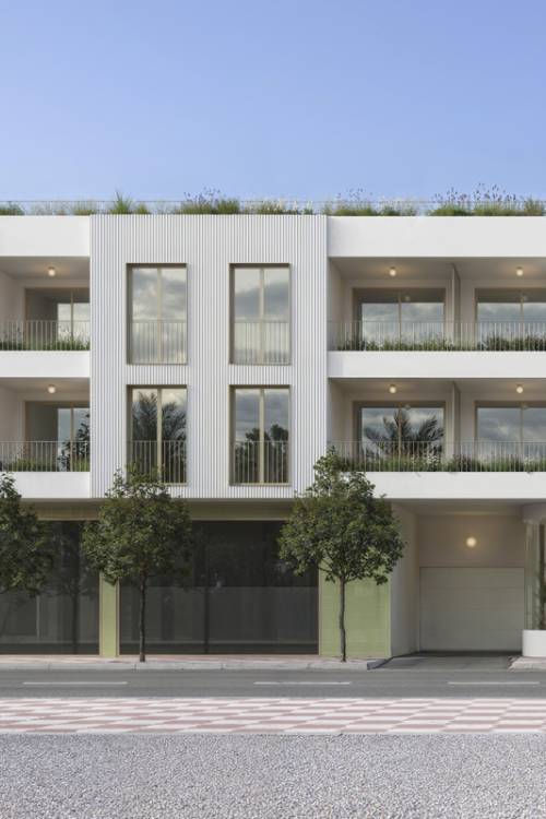 Apartment - New Build - Jacarilla - Jacarilla