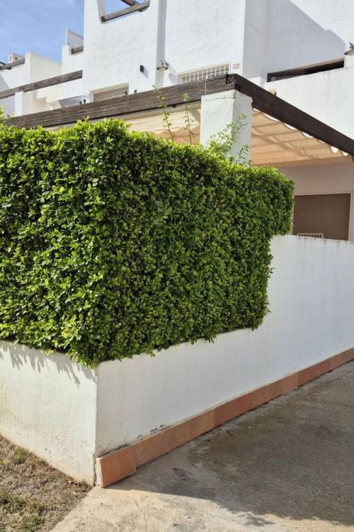 Apartment - Sale - Alhama de Murcia - Condado de Alhama Golf Resort