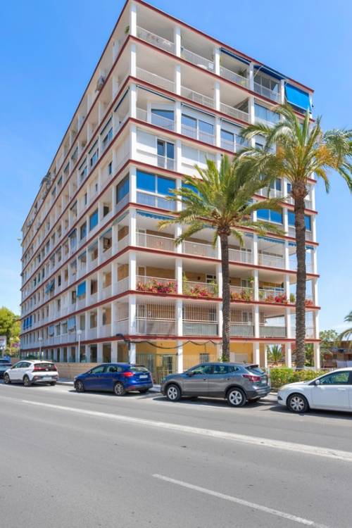 Apartment - Sale - Alicante - Alicante Centro