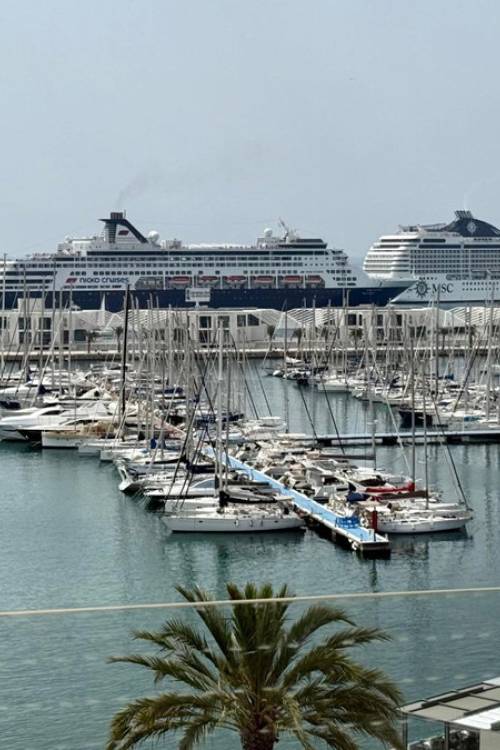 Apartment - Sale - Alicante - Alicante Centro