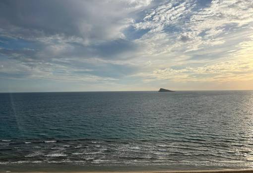 Apartment - Sale - Benidorm - Benidorm Centro