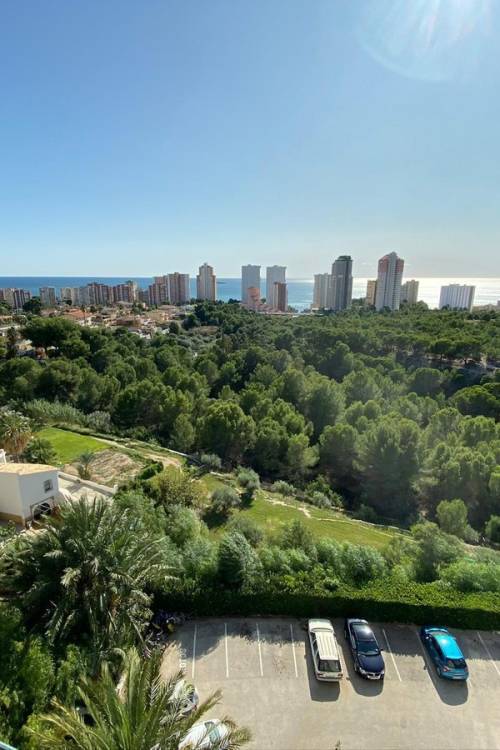 Apartment - Sale - Benidorm - Benidorm Centro
