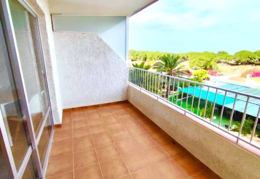 Apartment - Sale - Guardamar del Segura - Pinomar