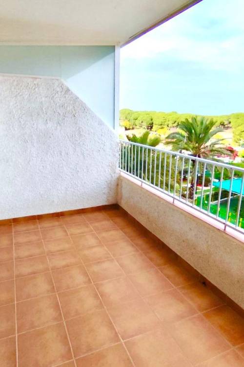 Apartment - Sale - Guardamar del Segura - Pinomar