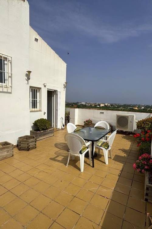 Apartment - Sale - Ondara - Ondara Centro