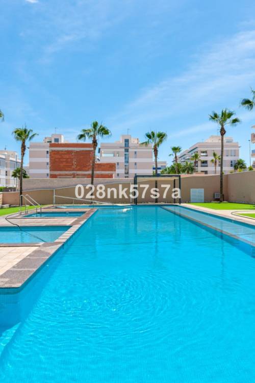 Apartment - Sale - Orihuela - Los Dolses