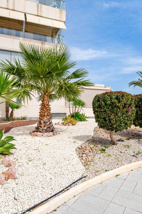 Apartment - Sale - Orihuela - Los Dolses