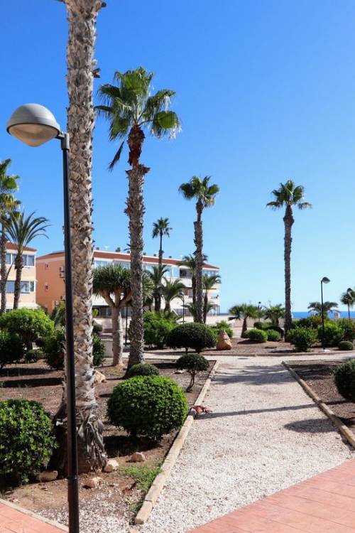 Apartment - Sale - Orihuela - Mil Palmeras