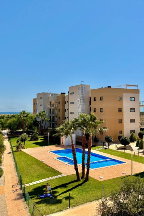 Apartment - Sale - Orihuela - Orihuela Centro