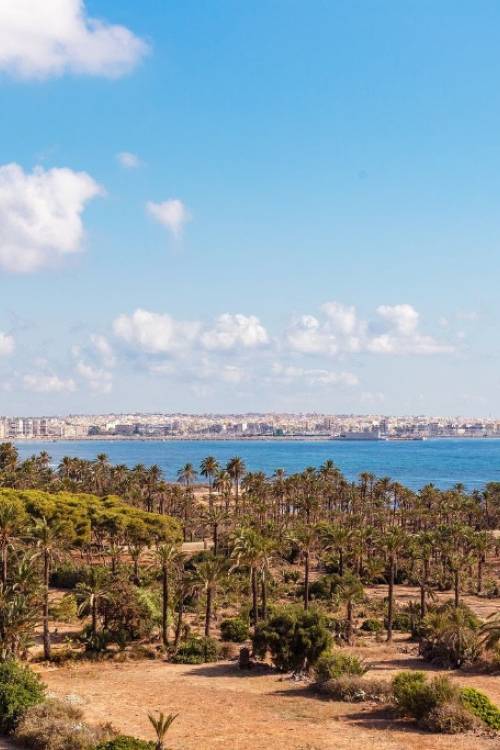 Apartment - Sale - Orihuela - Punta Prima