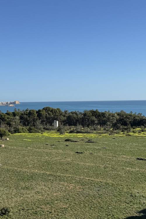 Apartment - Sale - Orihuela - Punta Prima