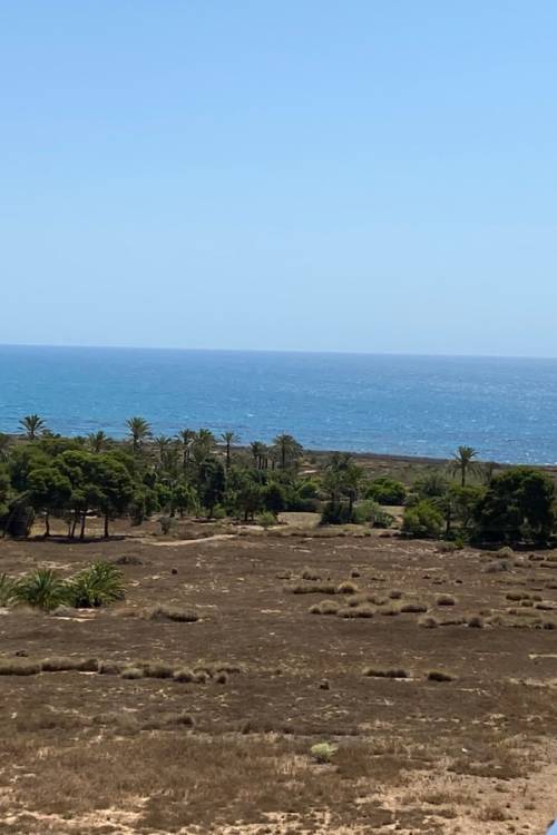 Apartment - Sale - Orihuela - Punta Prima