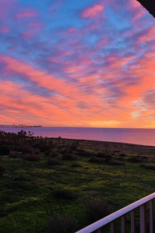 Apartment - Sale - Orihuela - Punta Prima