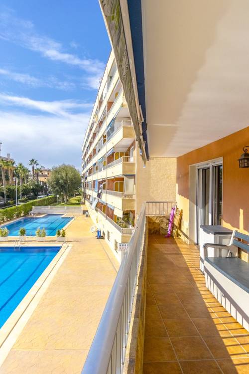 Apartment - Sale - Punta Prima - El Acequión