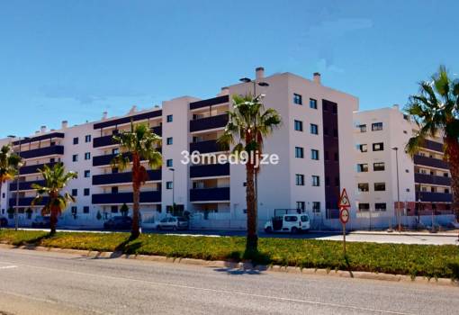 Apartment - Sale - San Javier - RO--21626
