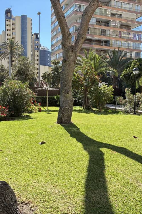 Apartment - Sale - San Juan de Alicante - Playa de San Juan