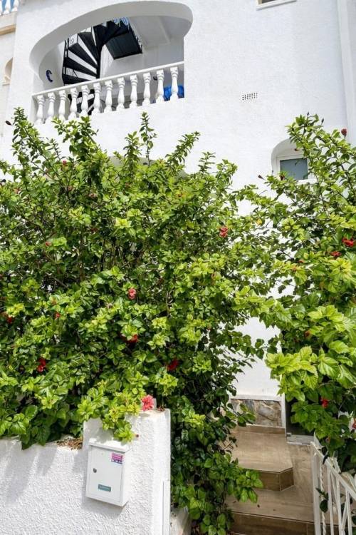 Apartment - Sale - San Miguel de Salinas - Las Filipinas