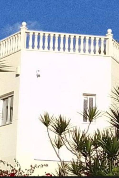 Apartment - Sale - San Miguel de Salinas - San Miguel de Salinas Centro
