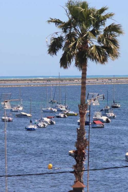 Apartment - Sale - San Pedro del Pinatar - Lo Pagan