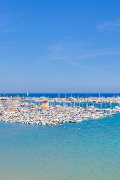 Apartment - Sale - Torrevieja - Acequion