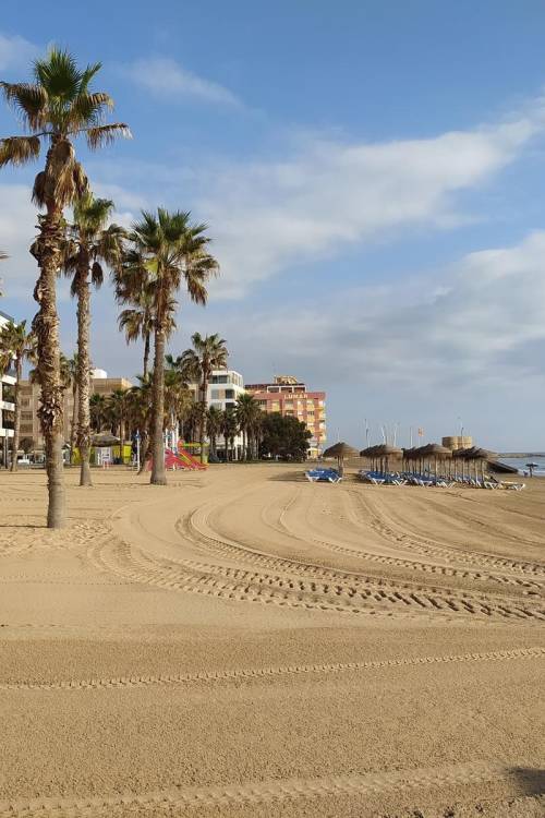 Apartment - Sale - Torrevieja - La Mata pueblo