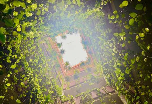 Apartment - Sale - Torrevieja - Torrevieja Centro