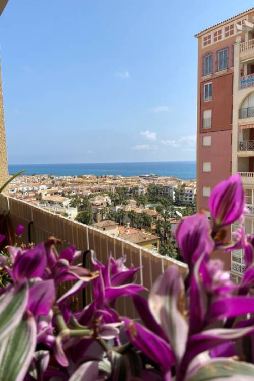 Apartment - Sale - Torrevieja - Torrevieja Centro