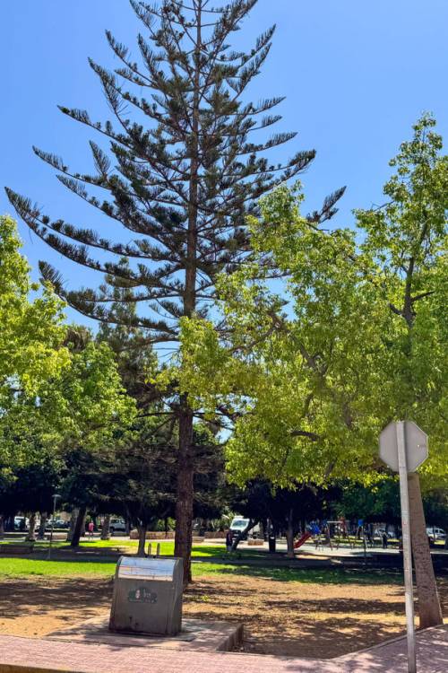 Apartment - Sale - Torrevieja - Torrevieja Centro