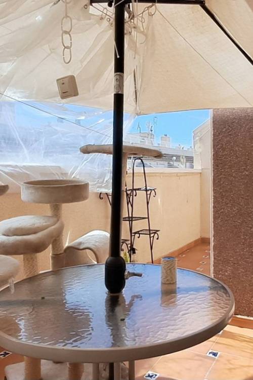 Apartment - Sale - Torrevieja - Torrevieja Centro