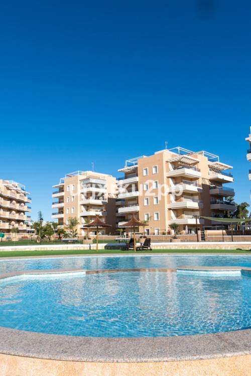 Apartment - Sale - Urbanización El Raso - Urbanización El Raso