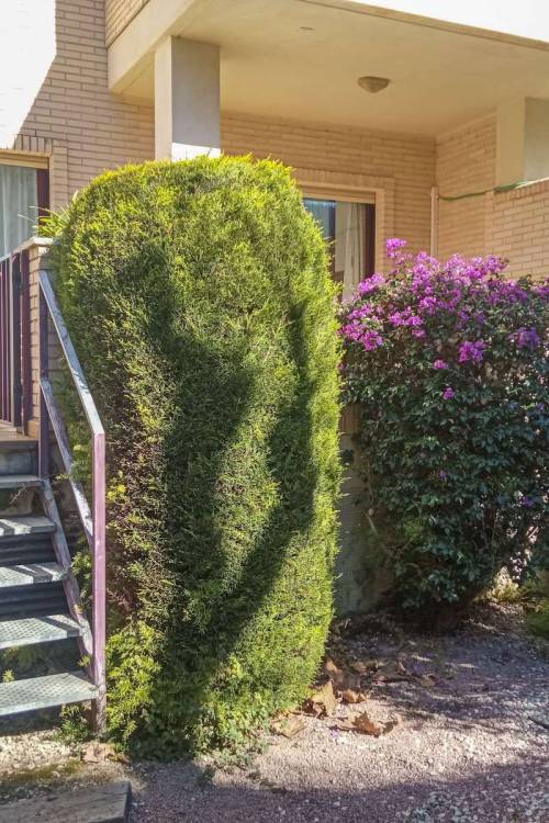 Apartment - Venta - Alfaz del Pi - Alfaz del Pi