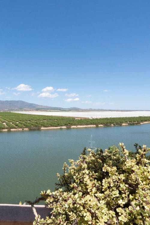 Apartment - Venta - Alhama de Murcia - Condado de Alhama Golf Resort