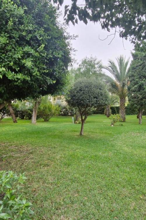 Apartment - Venta - Alicante - Alicante Centro