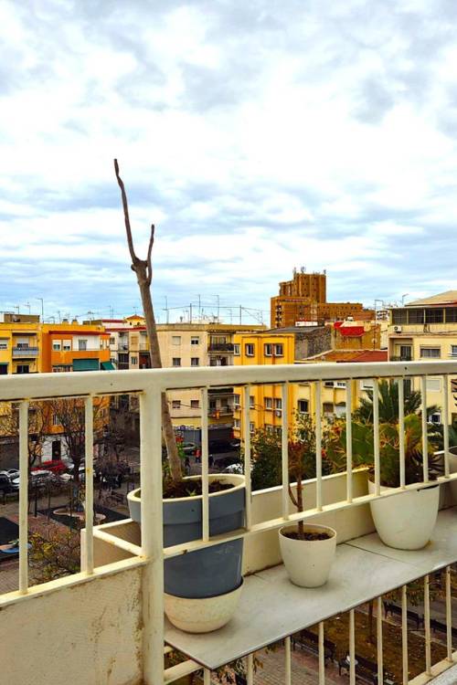 Apartment - Venta - Alicante - Alicante Centro
