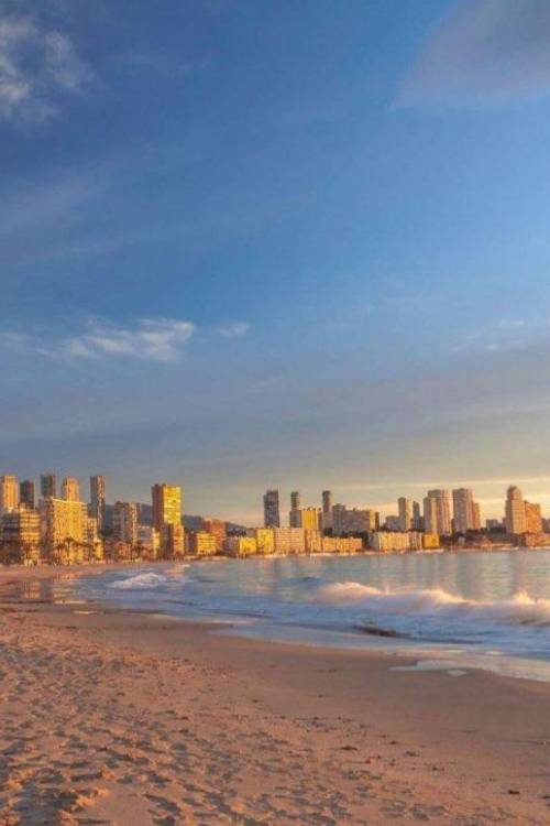 Apartment - Venta - Benidorm - Benidorm Centro