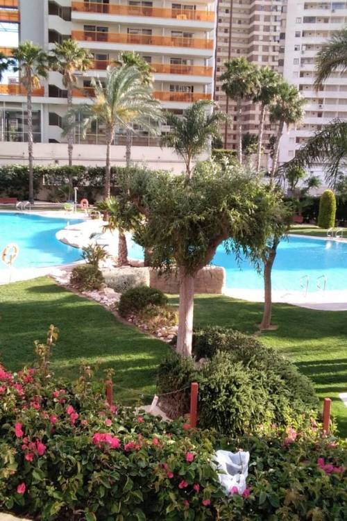 Apartment - Venta - Benidorm - Benidorm Centro
