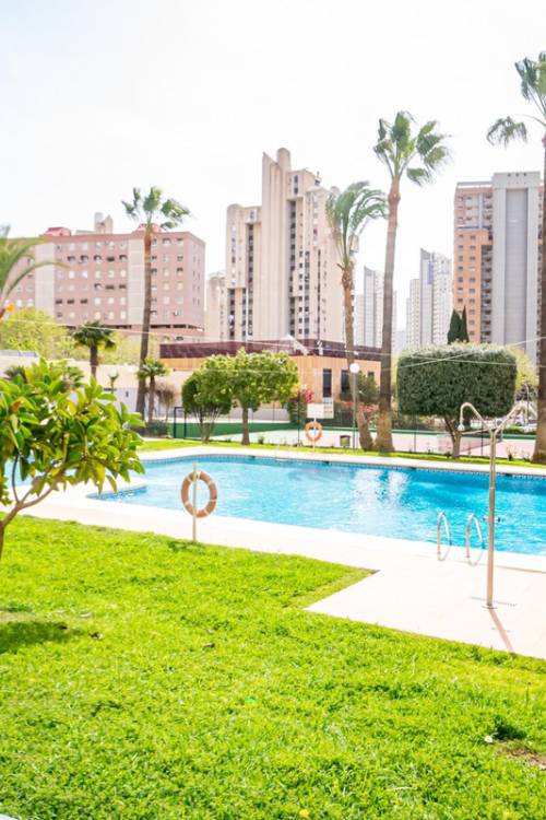 Apartment - Venta - Benidorm - Benidorm Centro