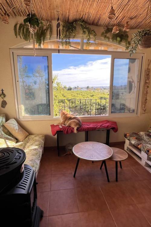 Apartment - Venta - Daya Nueva - Daya Nueva Centro