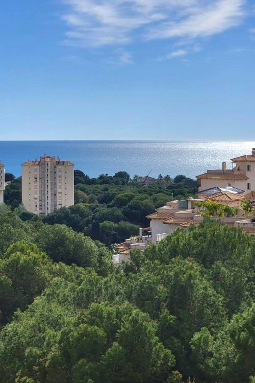 Apartment - Venta - Dehesa de Campoamor - Altos de campoamor
