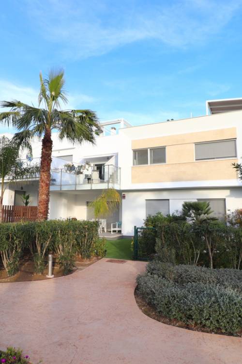 Apartment - Venta - Los Montesinos - Los Montesinos Centro